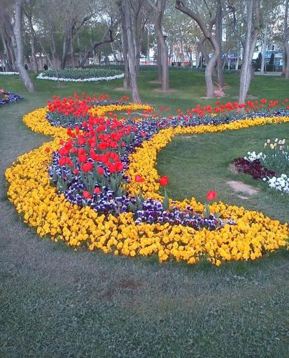 عکس بوستان پرند