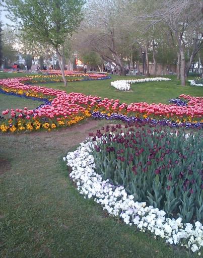 عکس بوستان پرند