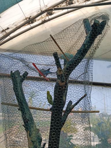 عکس نمایشگاه گل بویان