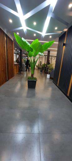 عکس دپارتمان املاک ری شار