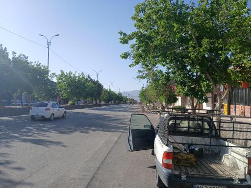 عکس چترود