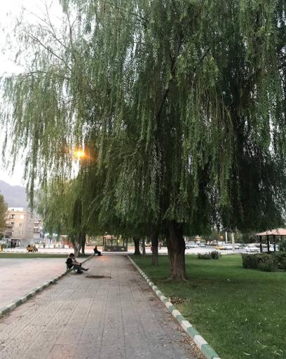 عکس بوستان زنبق 