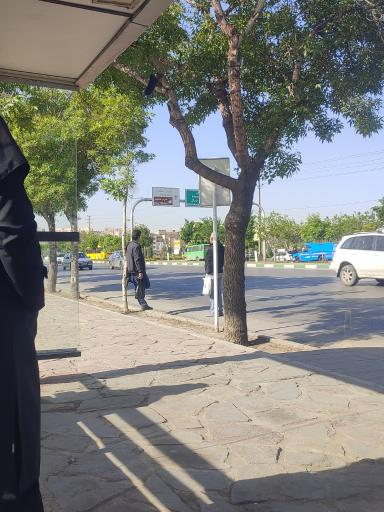 عکس  بوستان بهار