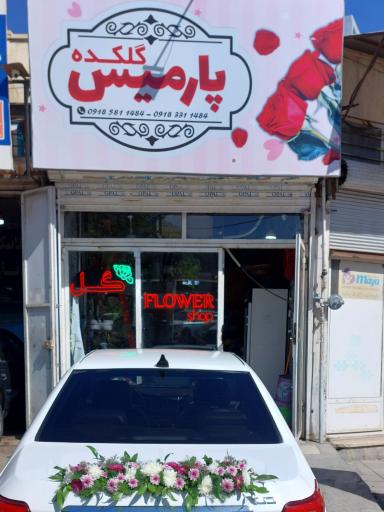 عکس گلکده پارمیس