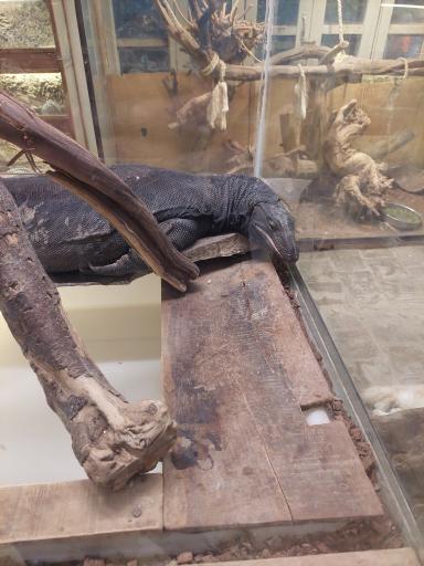 عکس خانه حیوانات لیزارد لند