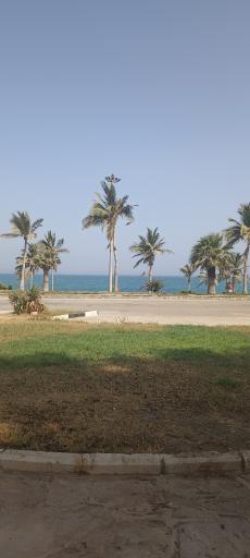 عکس ساحل تفریحی زیتون