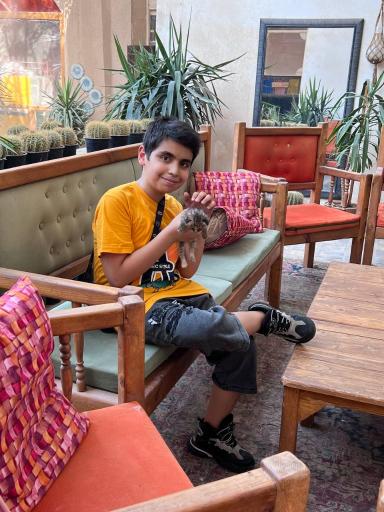 عکس خانه حیوانات لیزارد لند