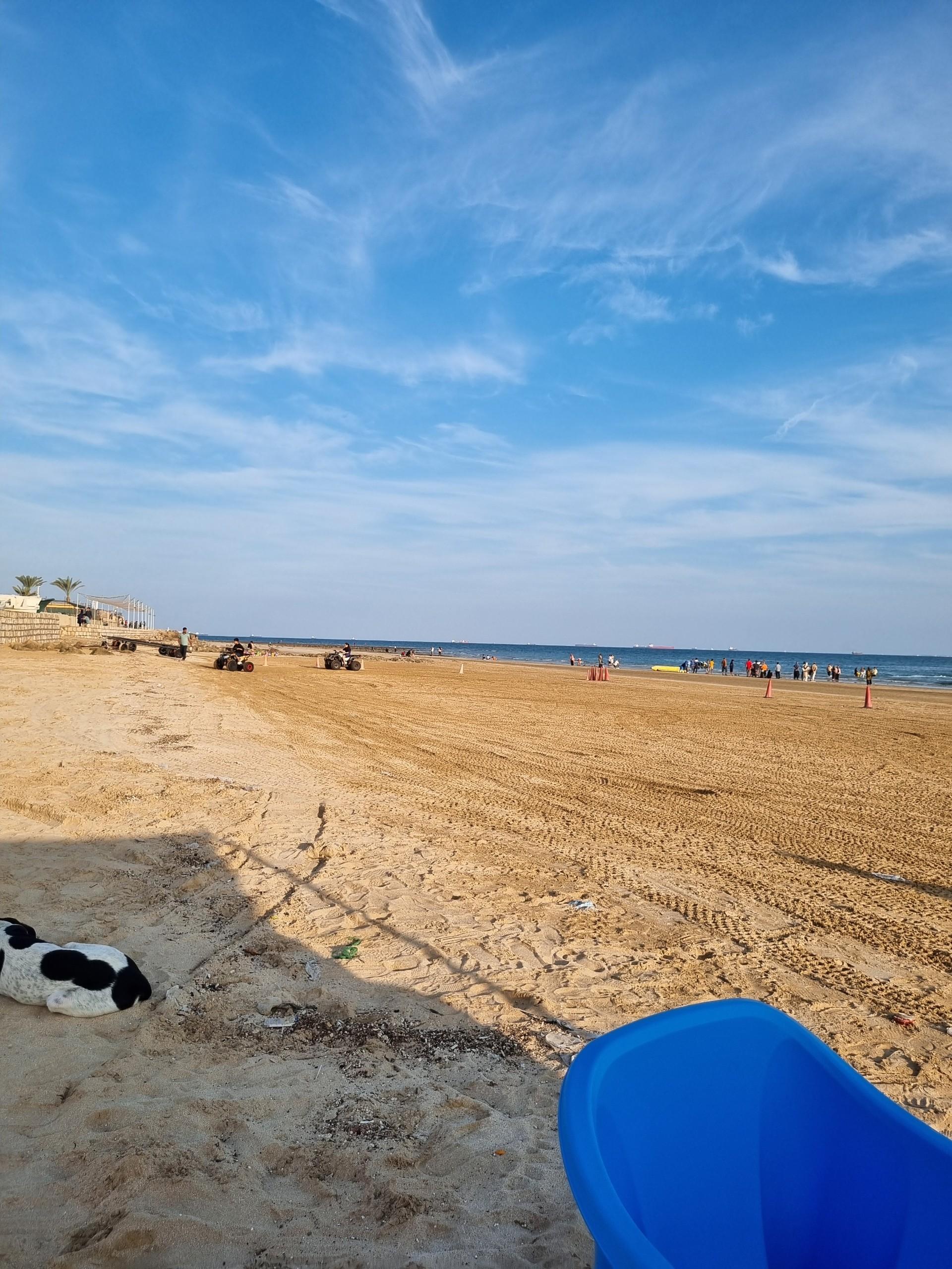 عکس ساحل تفریحی زیتون