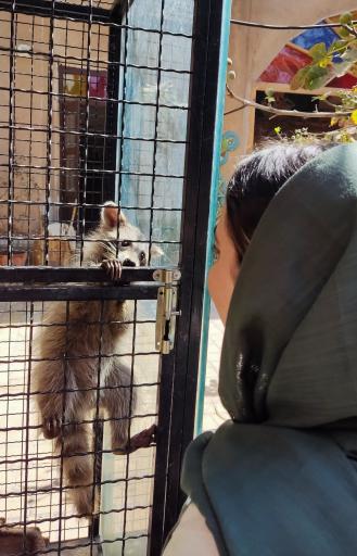 عکس خانه حیوانات لیزارد لند