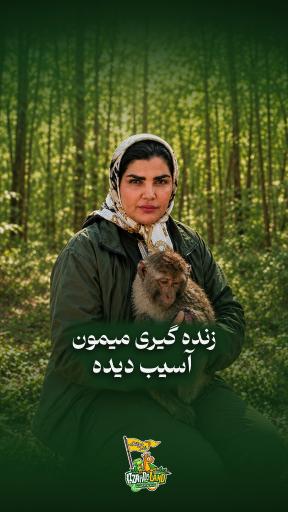عکس خانه حیوانات لیزارد لند