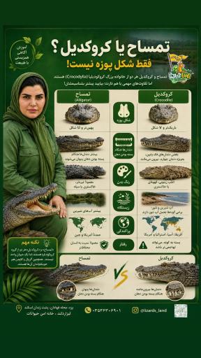 عکس خانه حیوانات لیزارد لند