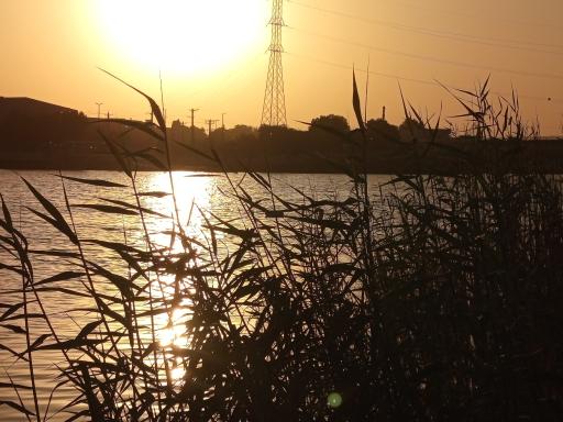 عکس ساحل رودخانه کارون خرمشهر