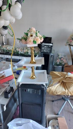 عکس تشریفات مجالس انصاری