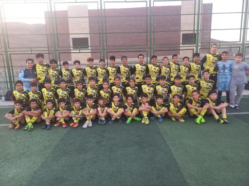 عکس زمین چمن اختصاصی آکادمی سپاهان