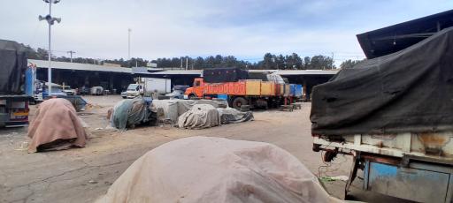 عکس میدان میوه و تره بار