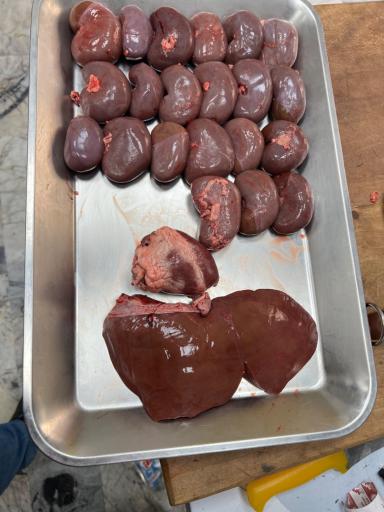 عکس فروشگاه گوشت گلشهر