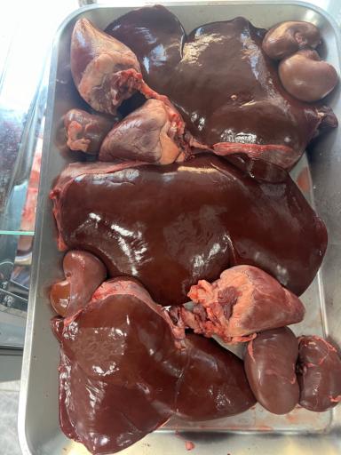 عکس فروشگاه گوشت گلشهر