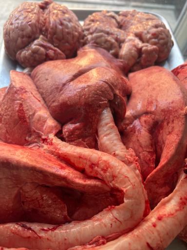 عکس فروشگاه گوشت گلشهر