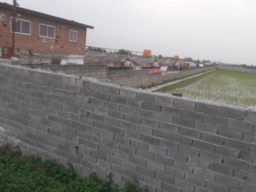 مرغداری سیفی 