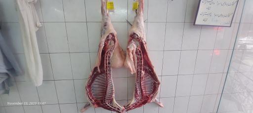 عکس گوشت فروشی امید