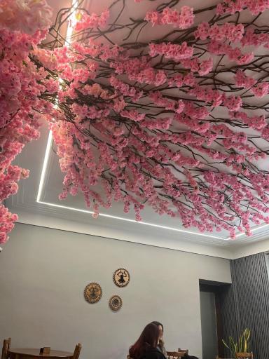 عکس عمارت دیمورا