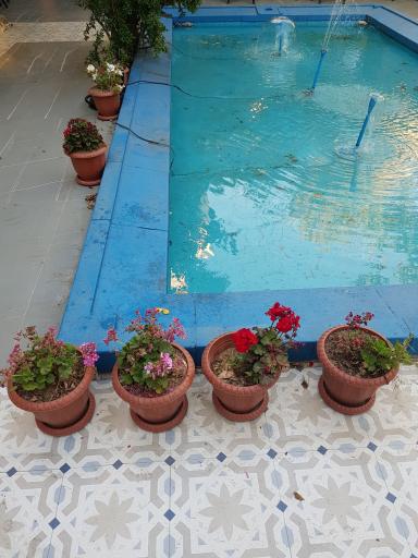 عکس عمارت دیمورا