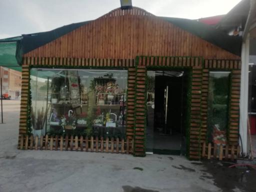 عکس فروشگاه آقای چمن (شعبه 1)