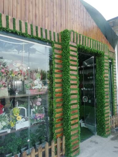 عکس فروشگاه آقای چمن (شعبه 1)