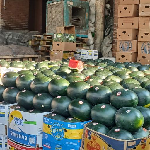 عکس فاز 1 سالنE3