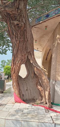 عکس مسجد جامع تاج آباد کهنه