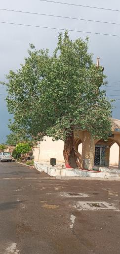 عکس مسجد جامع تاج آباد کهنه
