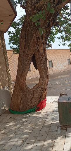 عکس مسجد جامع تاج آباد کهنه