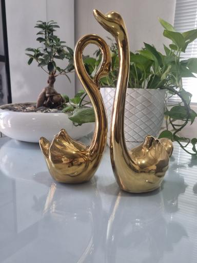 عکس تولیدی فروغی