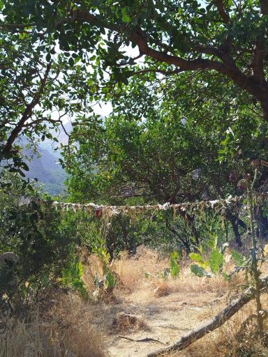 عکس آرامگاه پیرشالیار