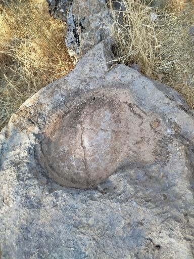 عکس آرامگاه پیرشالیار