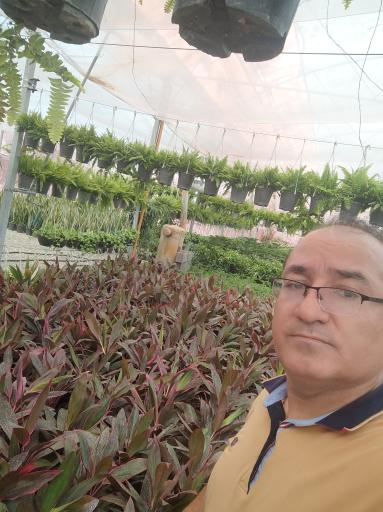 عکس گلخانه سپیدار