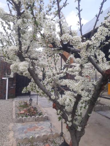 عکس رستوران و سفره خانه سنتی چناران