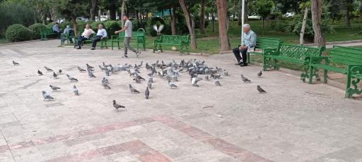 عکس بوستان ولیعصر (امام‌حسین)