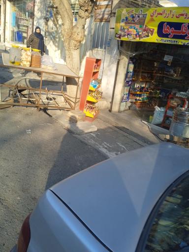 عکس ارزانسرای دوقلو ها