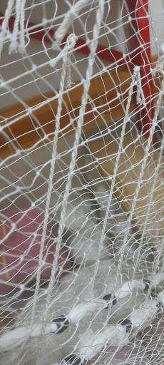 عکس فروشگاه لوازم صیادی مظفری