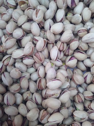 عکس مرکز خرید و فروش پسته قلی‌ زاده