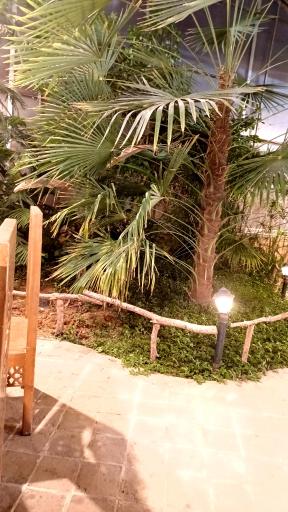 عکس رستوران استوایی اسپیناس