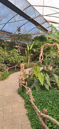 عکس رستوران استوایی اسپیناس