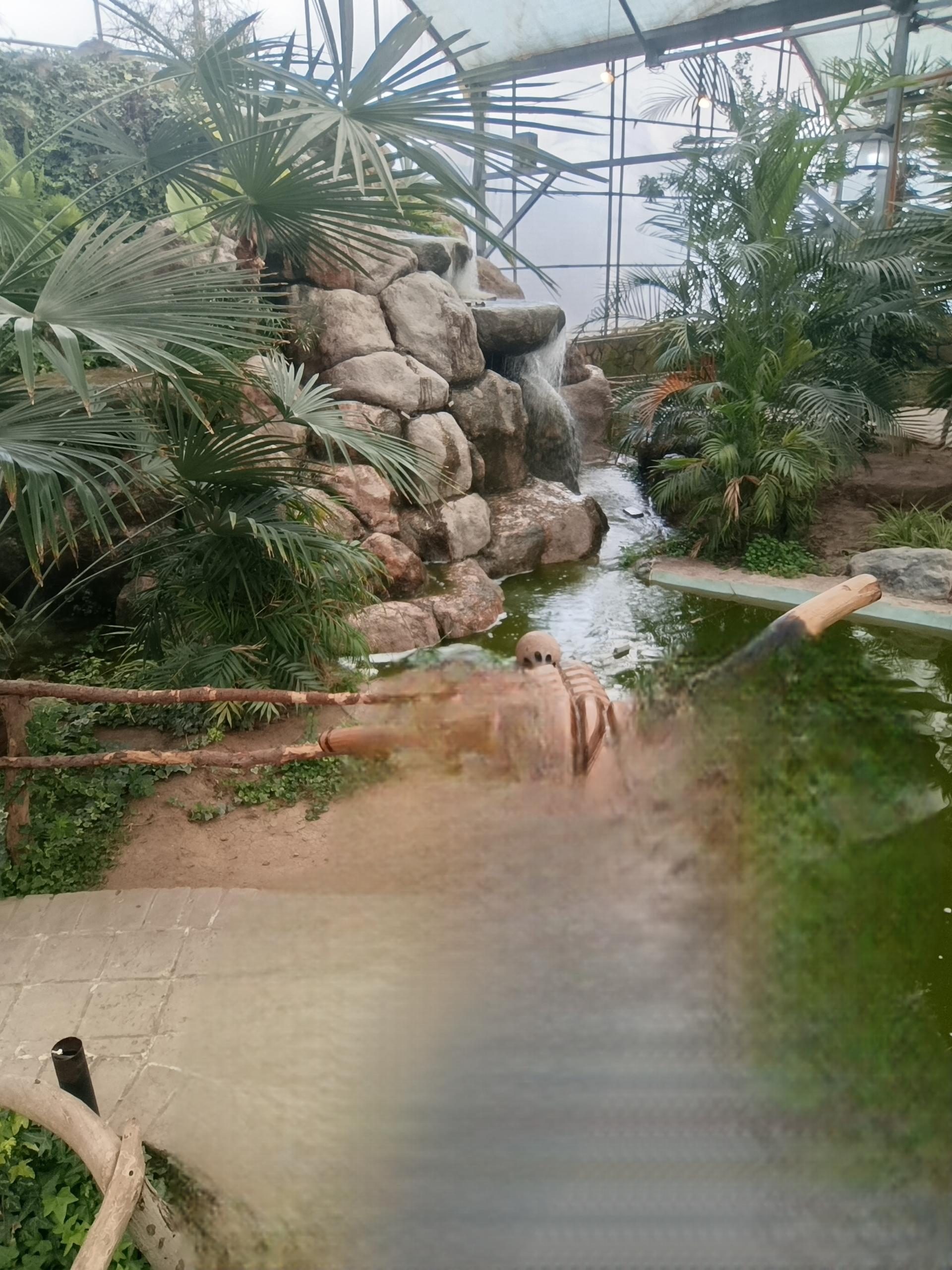 عکس رستوران استوایی اسپیناس