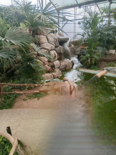 عکس رستوران استوایی اسپیناس