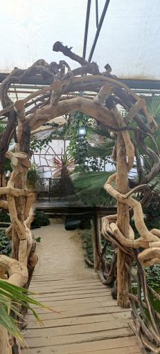 عکس رستوران استوایی اسپیناس