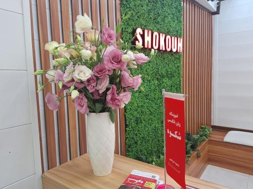 عکس آموزشگاه زبان انگلیسی شکوه شریعتی 