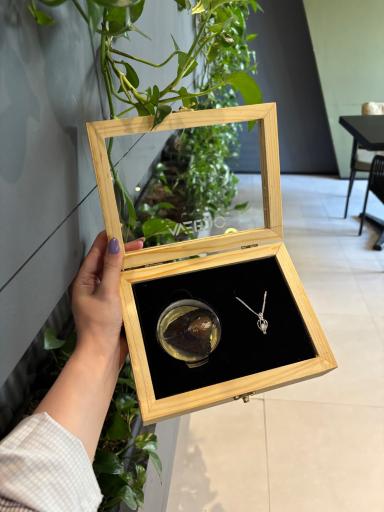 عکس فروشگاه آویدو