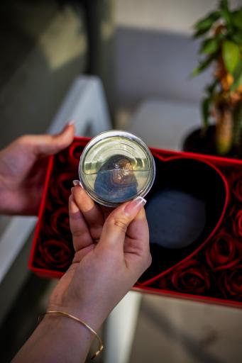 عکس فروشگاه آویدو