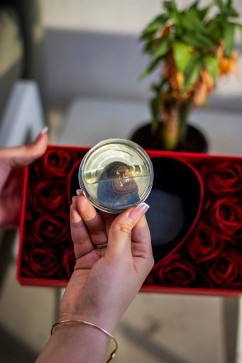 عکس فروشگاه آویدو